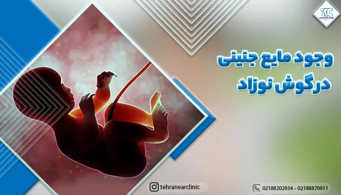 تصویر جنین و وجود مایع جنینی در گوش نوزاد